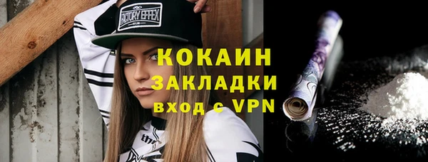 бошки Протвино