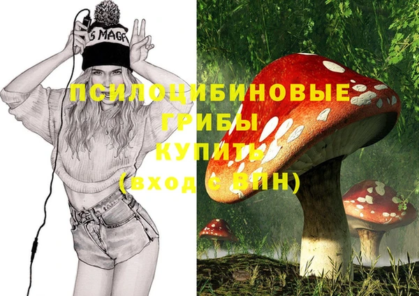 MDMA Приозерск
