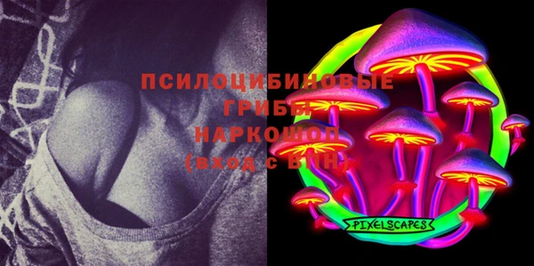 бошки Протвино